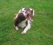 click for a larger view